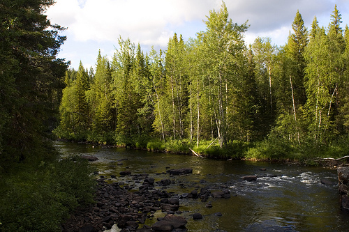 Muddus National Park